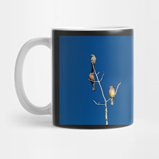 Bird Trio Mug